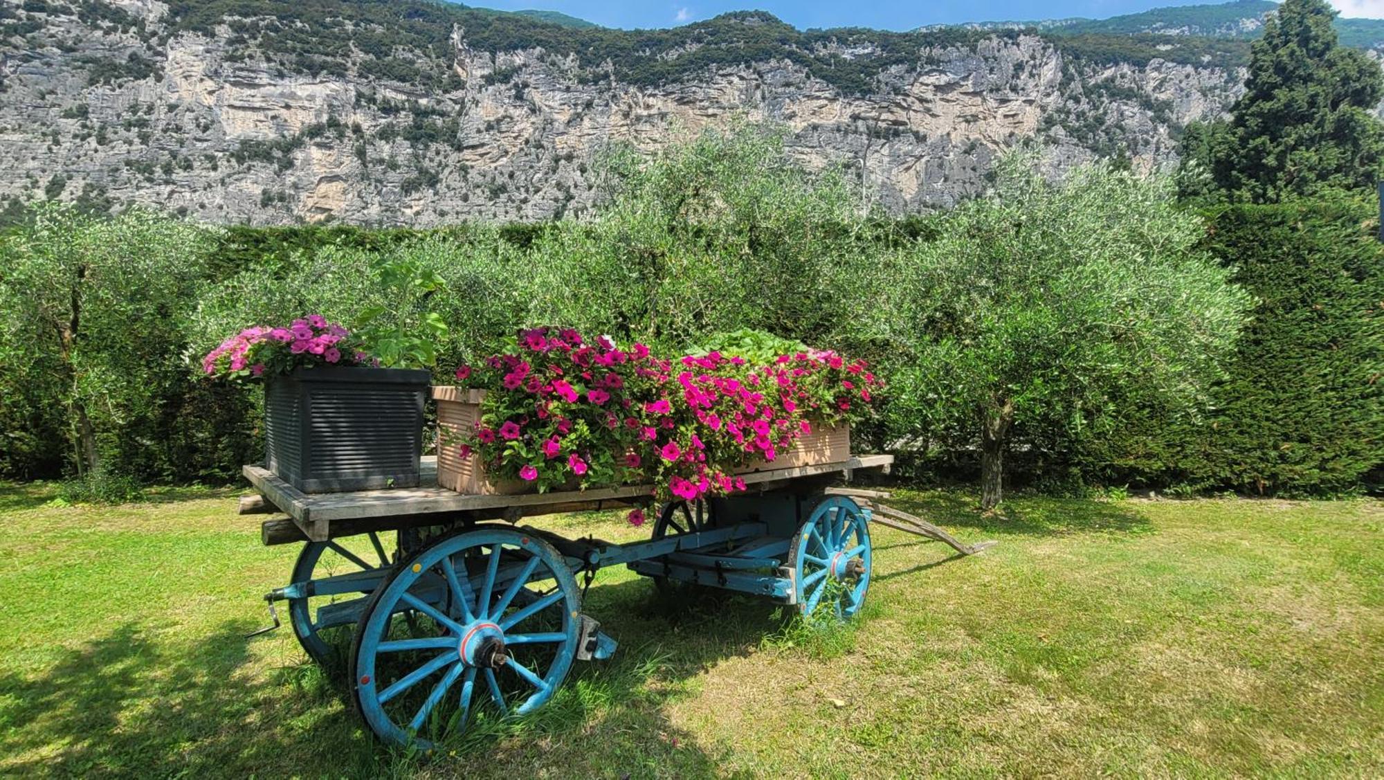 Agriturismo Vin E Amor Dro Exterior foto